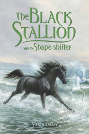 The Black Stallion and the Shape-shifter 