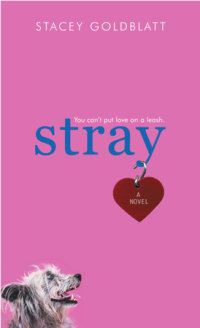 Cover of Stray