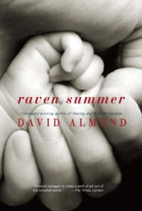 Cover of Raven Summer cover