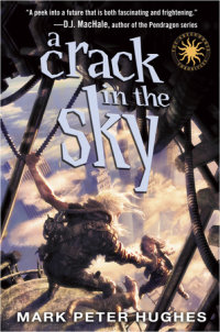 Cover of A Crack in the Sky cover