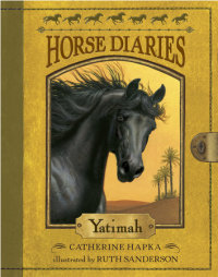 Cover of Horse Diaries #6: Yatimah cover