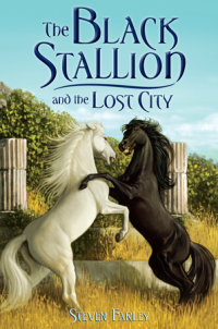 Cover of The Black Stallion and the Lost City cover