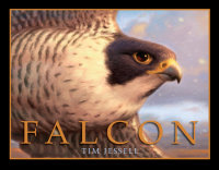 Cover of Falcon