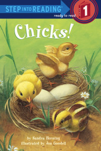Cover of Chicks! cover