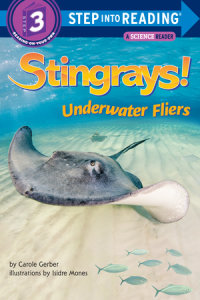 Book cover for Stingrays! Underwater Fliers
