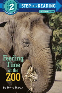 Cover of Feeding Time at the Zoo cover