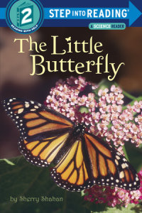 Book cover for The Little Butterfly