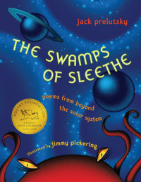 Cover of The Swamps of Sleethe