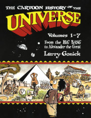 The Cartoon History of the Universe