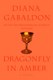 Dragonfly in Amber 