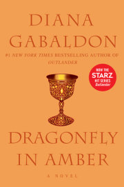 Dragonfly in Amber 