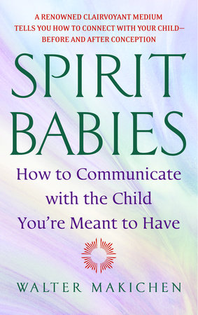 spirit babies book