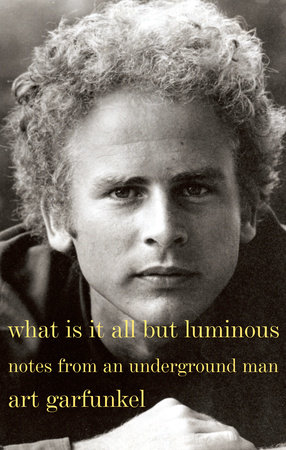 What Is It All but Luminous by Art Garfunkel