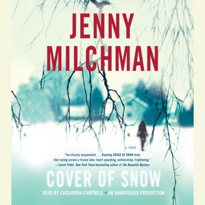 Cover of Snow cover