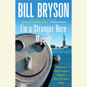 I'm a Stranger Here Myself 
