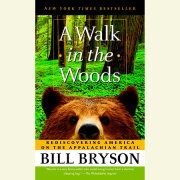 A Walk in the Woods 