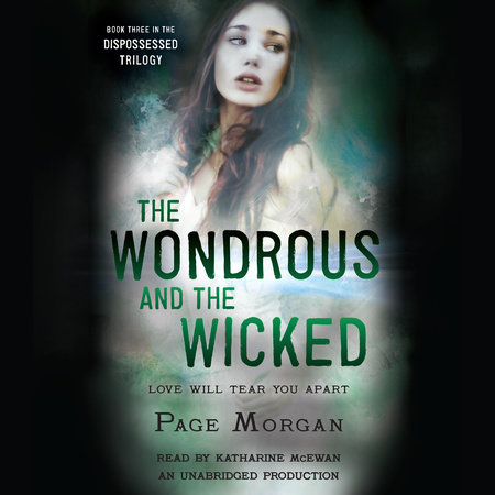 The Wondrous and the Wicked by Page Morgan