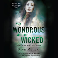 Cover of The Wondrous and the Wicked cover