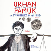 A Strangeness in My Mind 