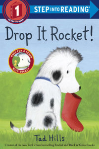 Book cover for Drop It, Rocket!