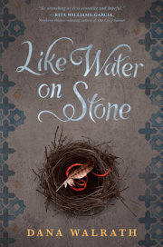 Like Water on Stone 