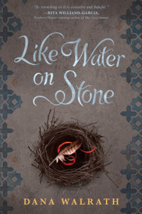 Cover of Like Water on Stone cover