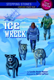 Ice Wreck 