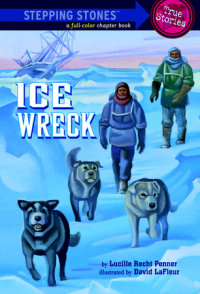 Cover of Ice Wreck