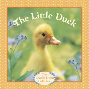 The Little Duck 