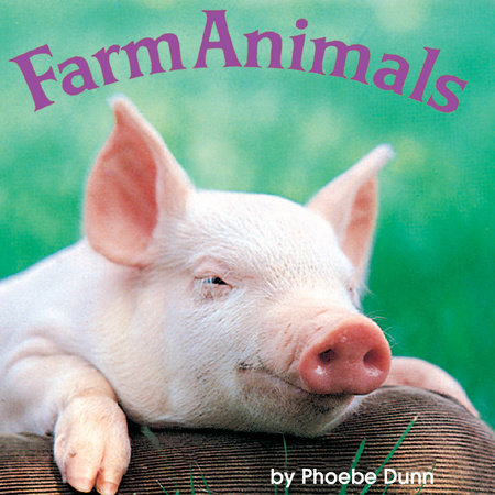 Farm Animals by Phoebe Dunn: 9780385385299 : Books