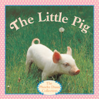 Book cover for The Little Pig