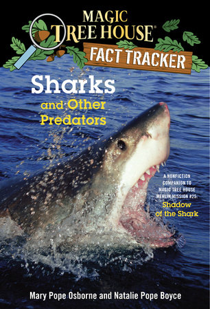 shark predation