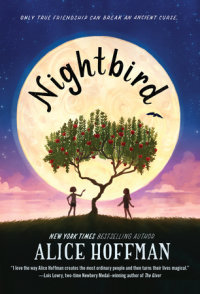 Book cover for Nightbird