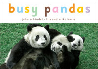 Book cover for Busy Pandas