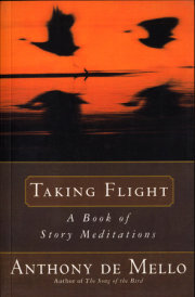Taking Flight 