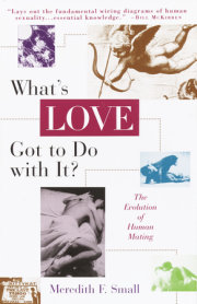 What's Love Got to Do with It? 