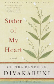 Sister of My Heart 