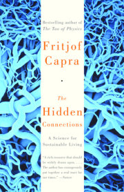 The Hidden Connections 