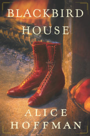 Blackbird House 