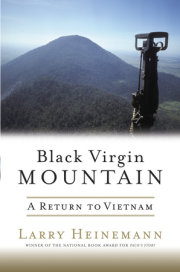 Black Virgin Mountain 