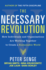 The Necessary Revolution 