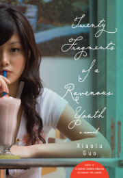 Twenty Fragments of a Ravenous Youth 