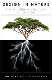 Design in Nature 
