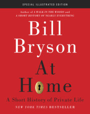At Home: Special Illustrated Edition 