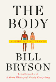 The Body 