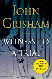 Witness to a Trial 