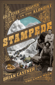 Stampede 