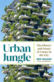 Urban Jungle 