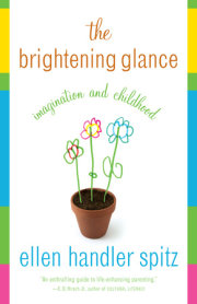 The Brightening Glance 