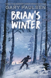 Cover of Brian\'s Winter cover